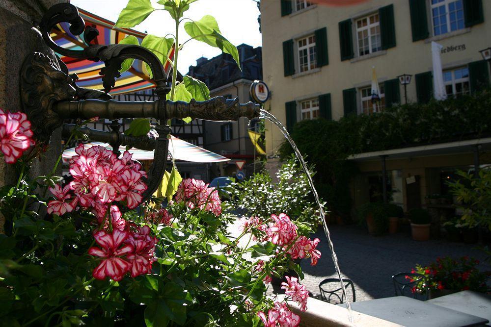 Romantik Hotel Schwan Horgen Zewnętrze zdjęcie