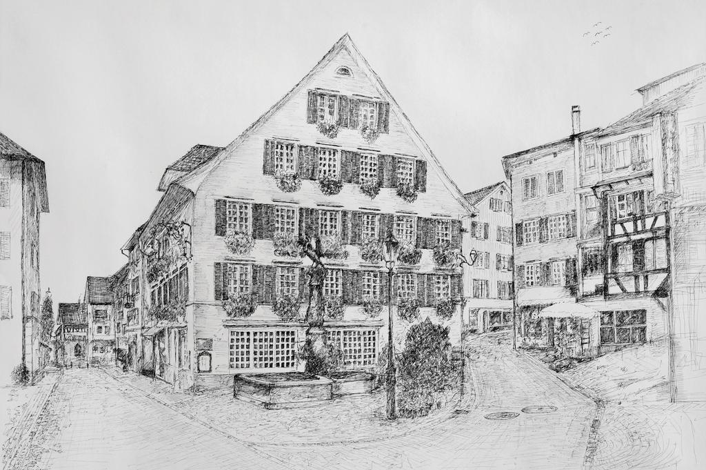 Romantik Hotel Schwan Horgen Zewnętrze zdjęcie