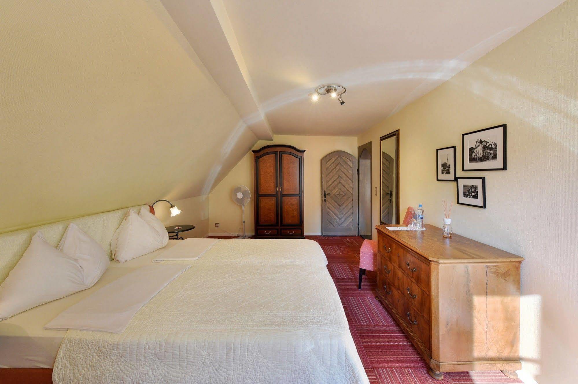 Romantik Hotel Schwan Horgen Zewnętrze zdjęcie